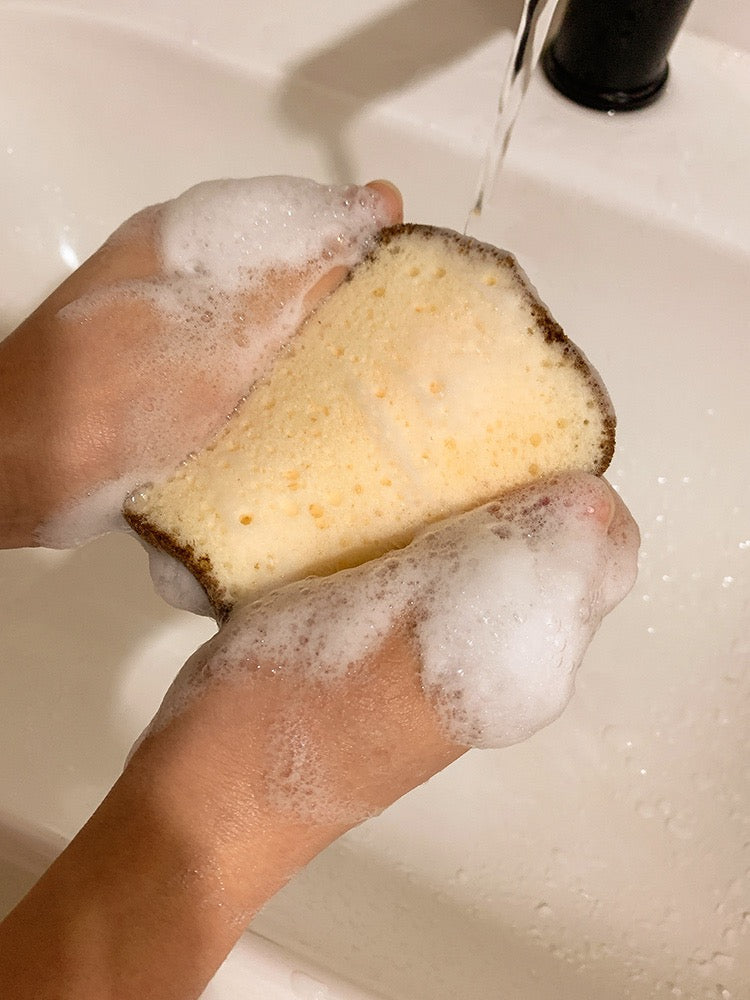 Sponge Toast Bread Dishcloth (Set of 2)